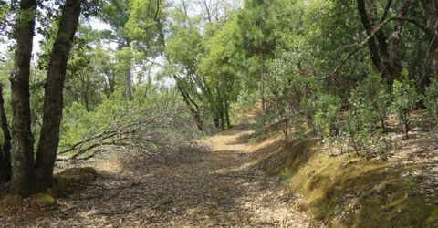 749 Blossom Ln, Mokelumne Hill, CA 95245 Photo