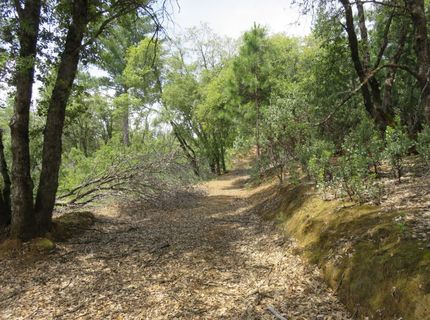 749 Blossom Ln, Mokelumne Hill, CA 95245 Photo