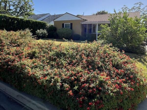 5448 Murietta Avenue, Van Nuys, CA 91401