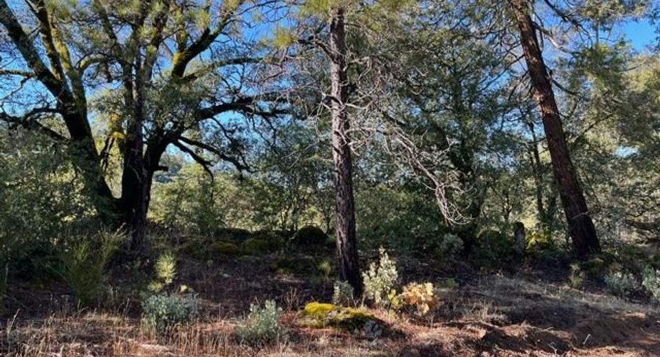 5806 Vacation Blvd, Somerset, CA 95684 Photo