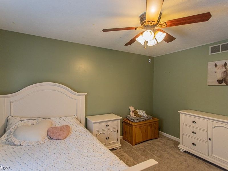 220 Fox Run, Cortland, OH 44410 Photo 37