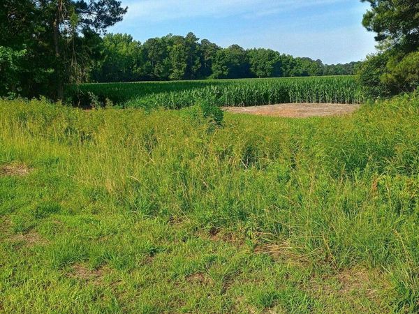 289 Grists Road, Chadbourn, NC 28431