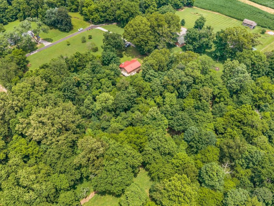 Property Image 37