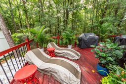 313 Grand Palm Lane photo 4