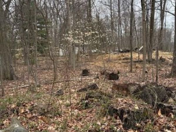 1716 SNYDER ROAD, GREEN LANE, PA 18054