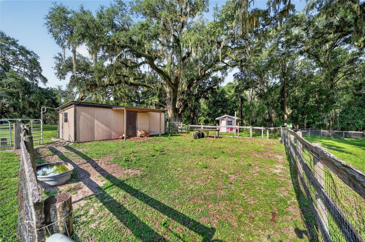 10844 SE Highway 42, Summerfield, FL 34491 Photo