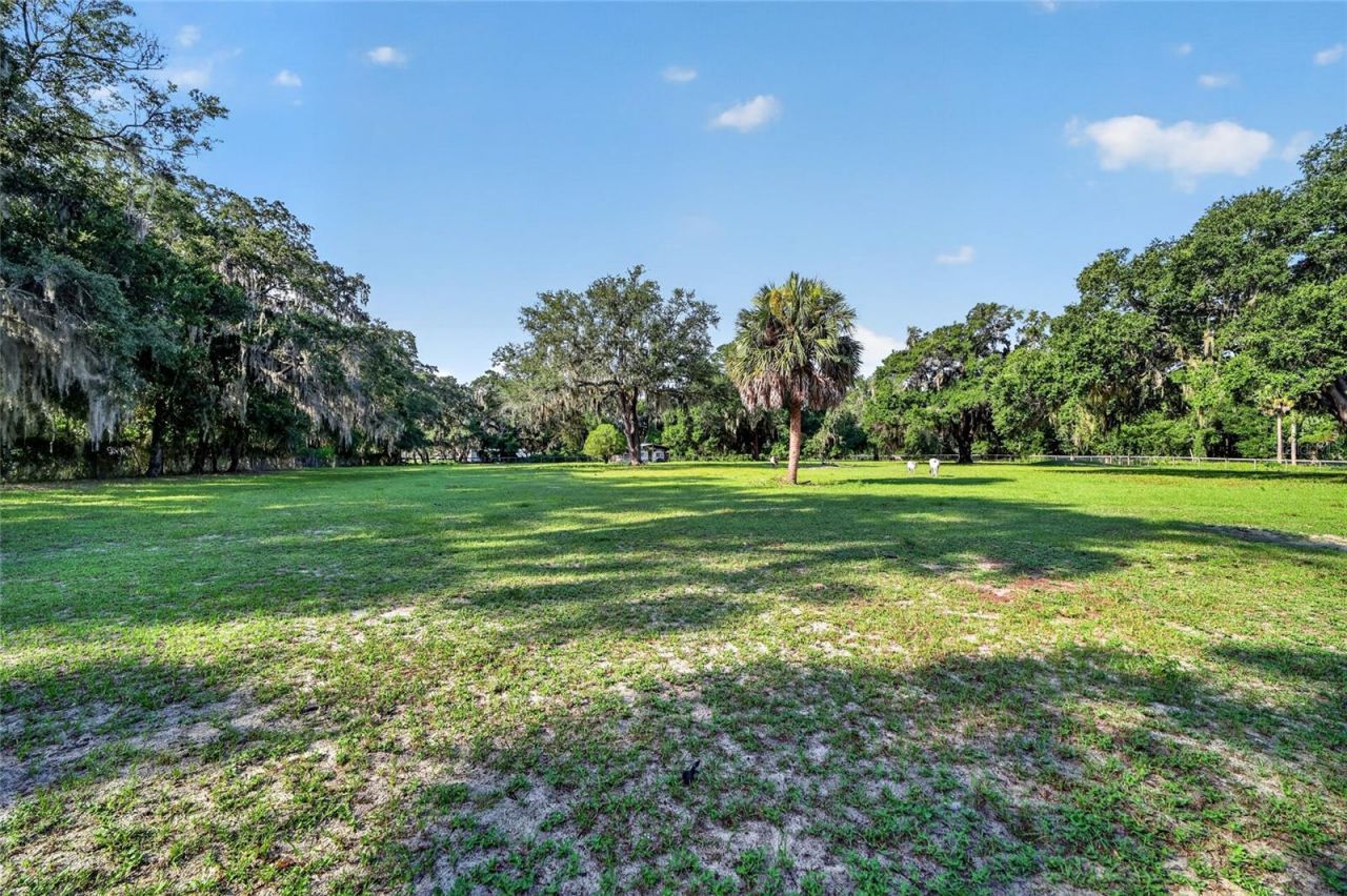 10844 SE Highway 42, Summerfield, FL 34491 Photo