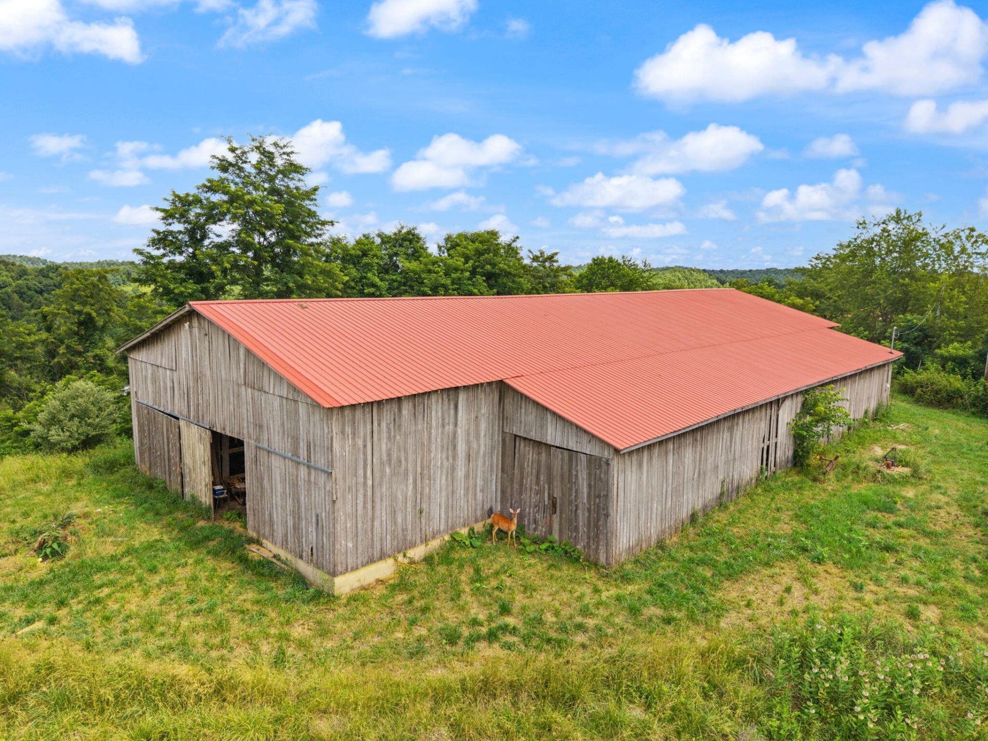 440 Randolph Road, Olive Hill, KY 41164