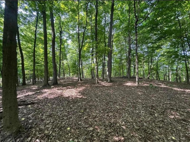 0 Cumberland Crest, Heath, OH 43056 Photo 13