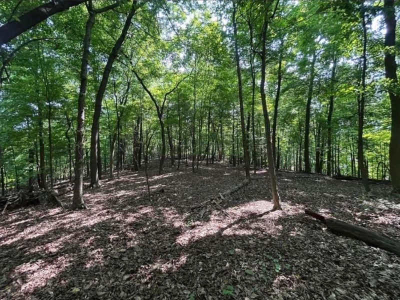 0 Cumberland Crest, Heath, OH 43056 Photo 14