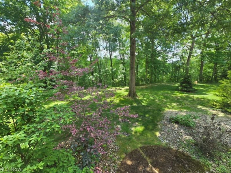 1044 Canyon View Road, Unit 703F, Sagamore Hills, OH 44067 Photo 26