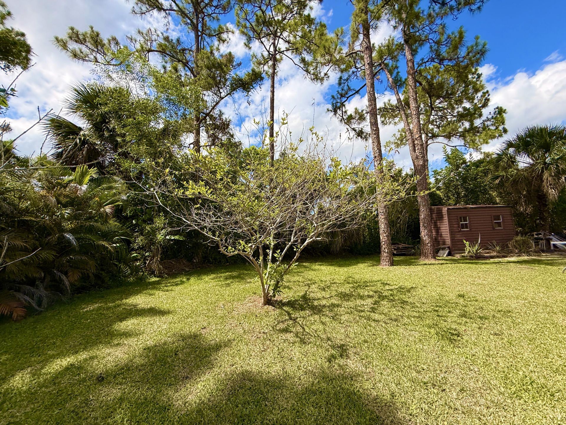 14703 N 71st Pl Place N, The Acreage, FL 33470 Photo