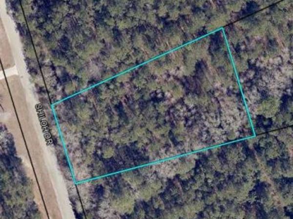 204 Shiloh Drive, Brooklet, GA 30415