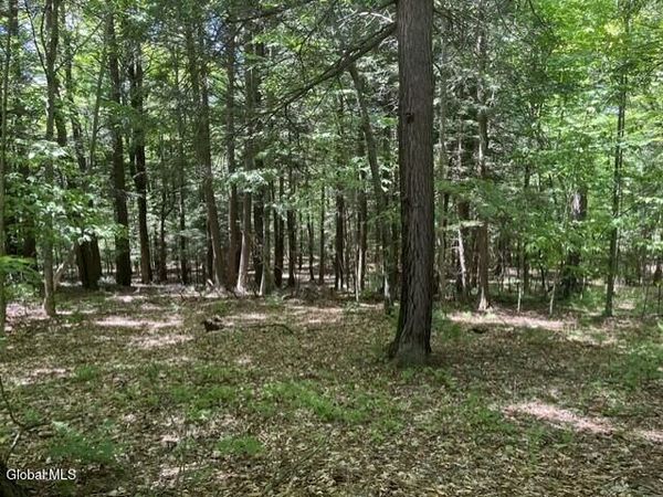 L7 Myers Road, Howes Cave, NY 12092