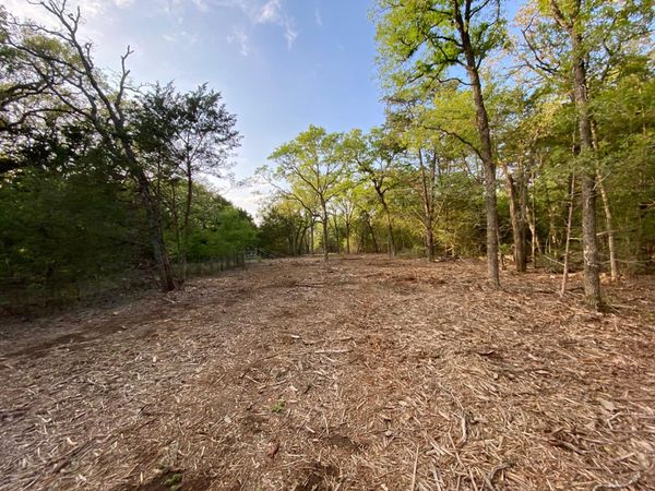TBD Parcel 2 Paffen DR , Paige, TX 78659