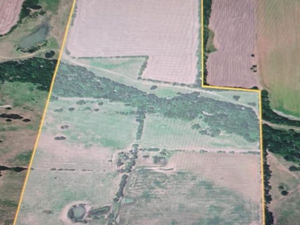 TBD LCR 320, Coolidge, TX 76635