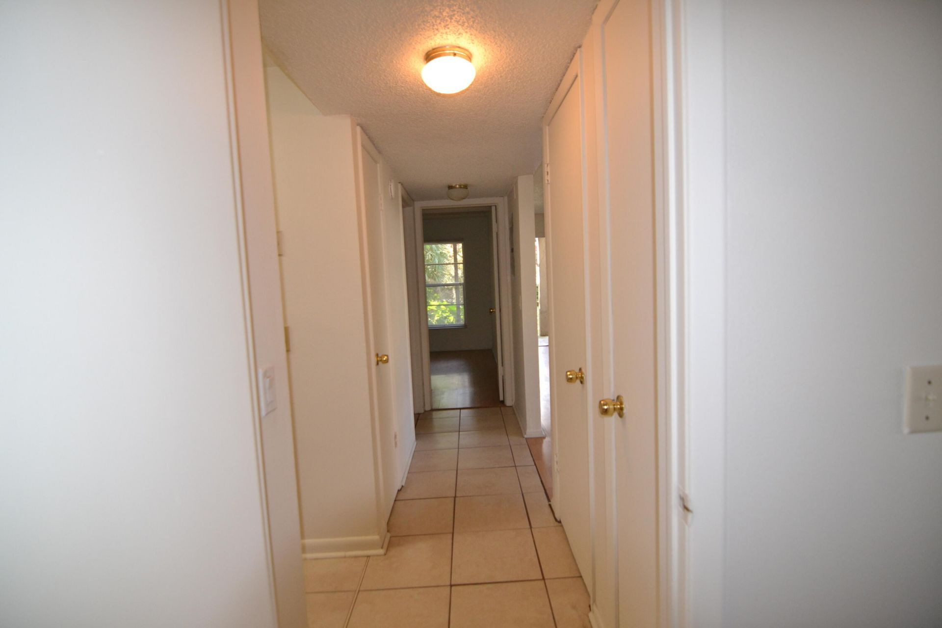 14308 Hanging Moss Circle, Unit 102, Tampa, FL 33613 Photo