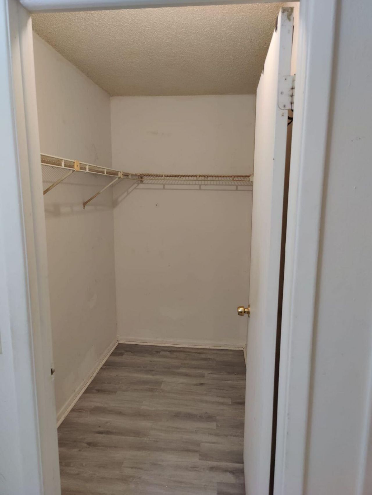 14308 Hanging Moss Circle, Unit 102, Tampa, FL 33613 Photo