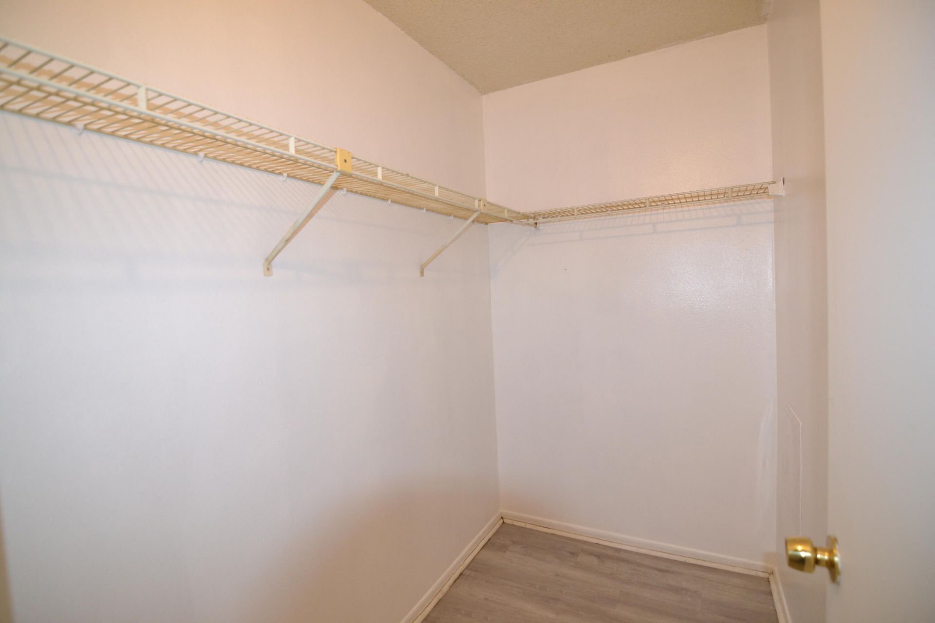 14308 Hanging Moss Circle, Unit 102, Tampa, FL 33613 Photo