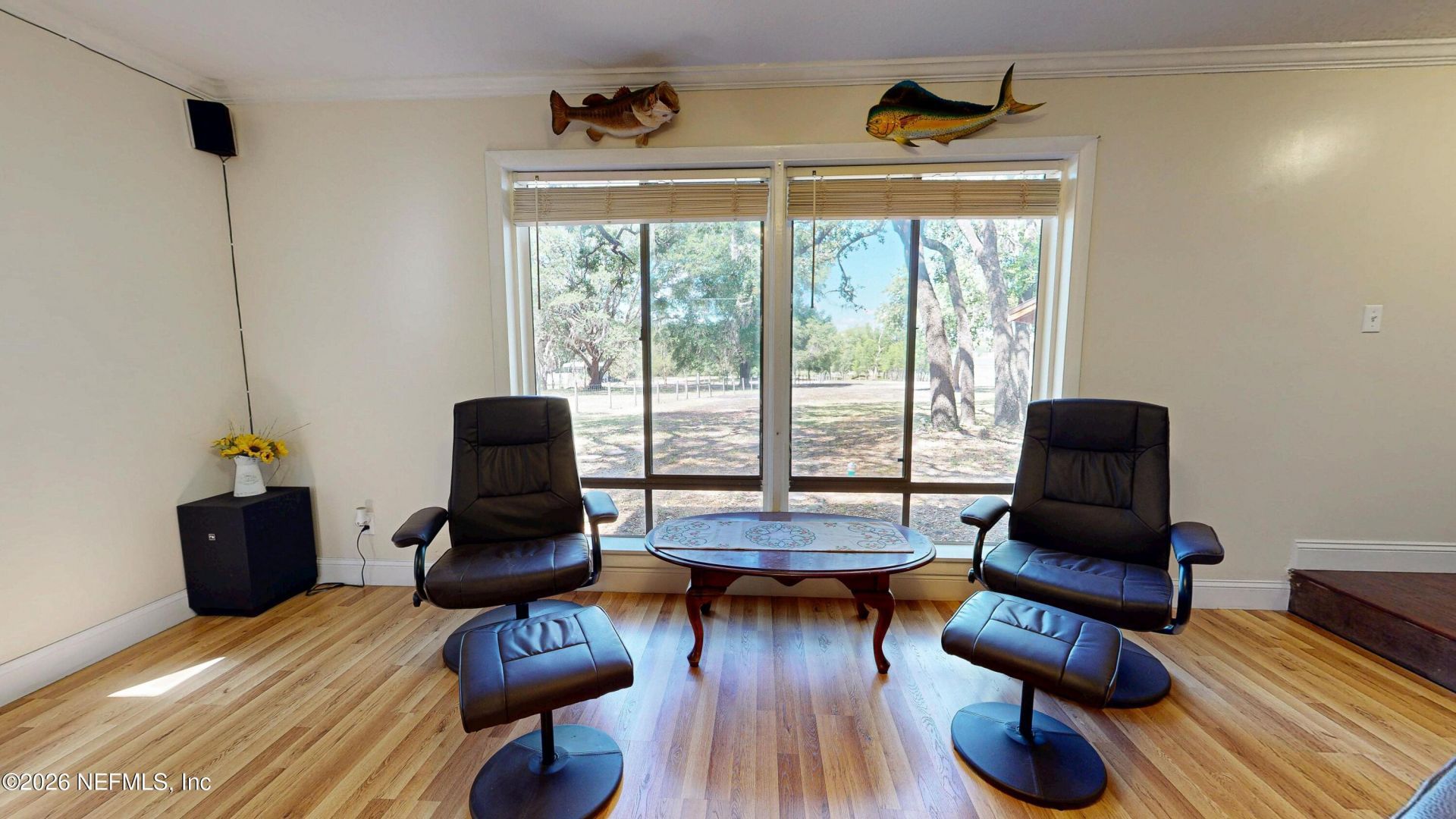 8042 County Line Road, Melrose, FL 32666 Photo