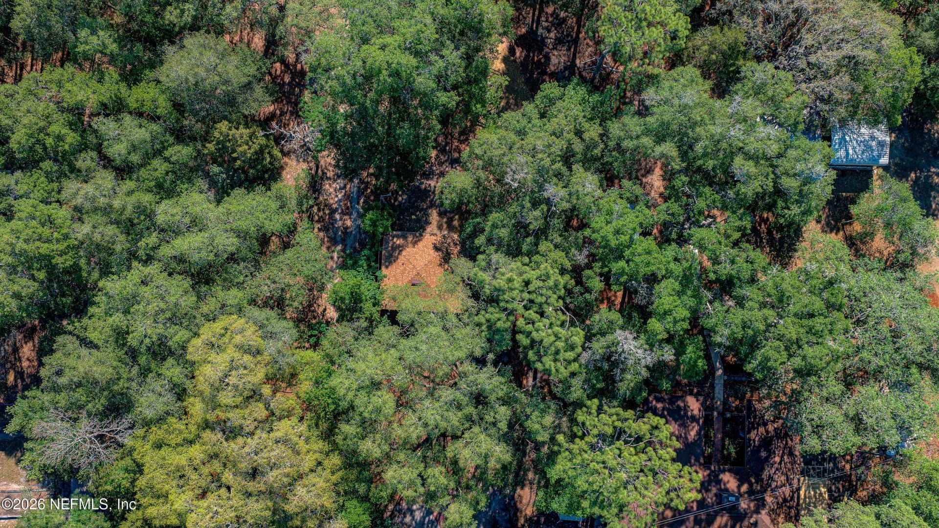8042 County Line Road, Melrose, FL 32666 Photo