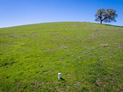 Highway 16, Plymouth, CA 95669 Photo