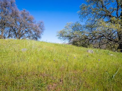 Highway 16, Plymouth, CA 95669 Photo