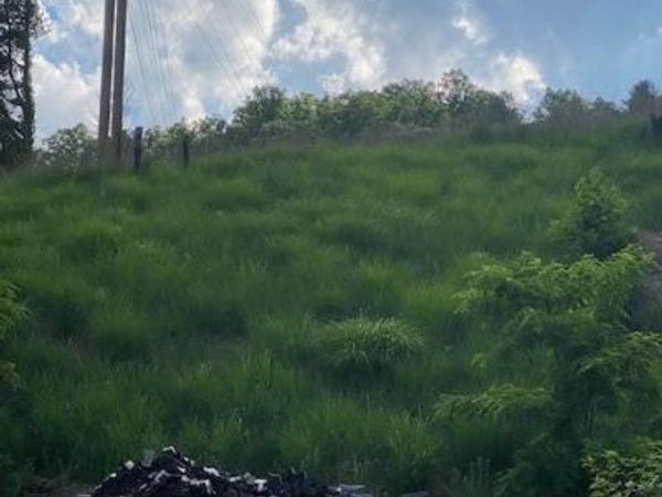 000 East Fork Road, Marshall, NC 28753