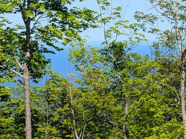 5030 Mount Rockwood Road, Silver Bay, MN 55614