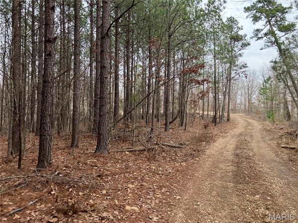 252 Madison CR 410 , Fredericktown, MO 63645