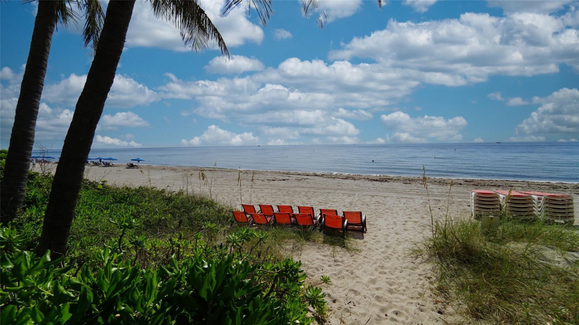 2011 N Ocean Boulevard, Unit 1606, Fort Lauderdale, FL 33305 Photo