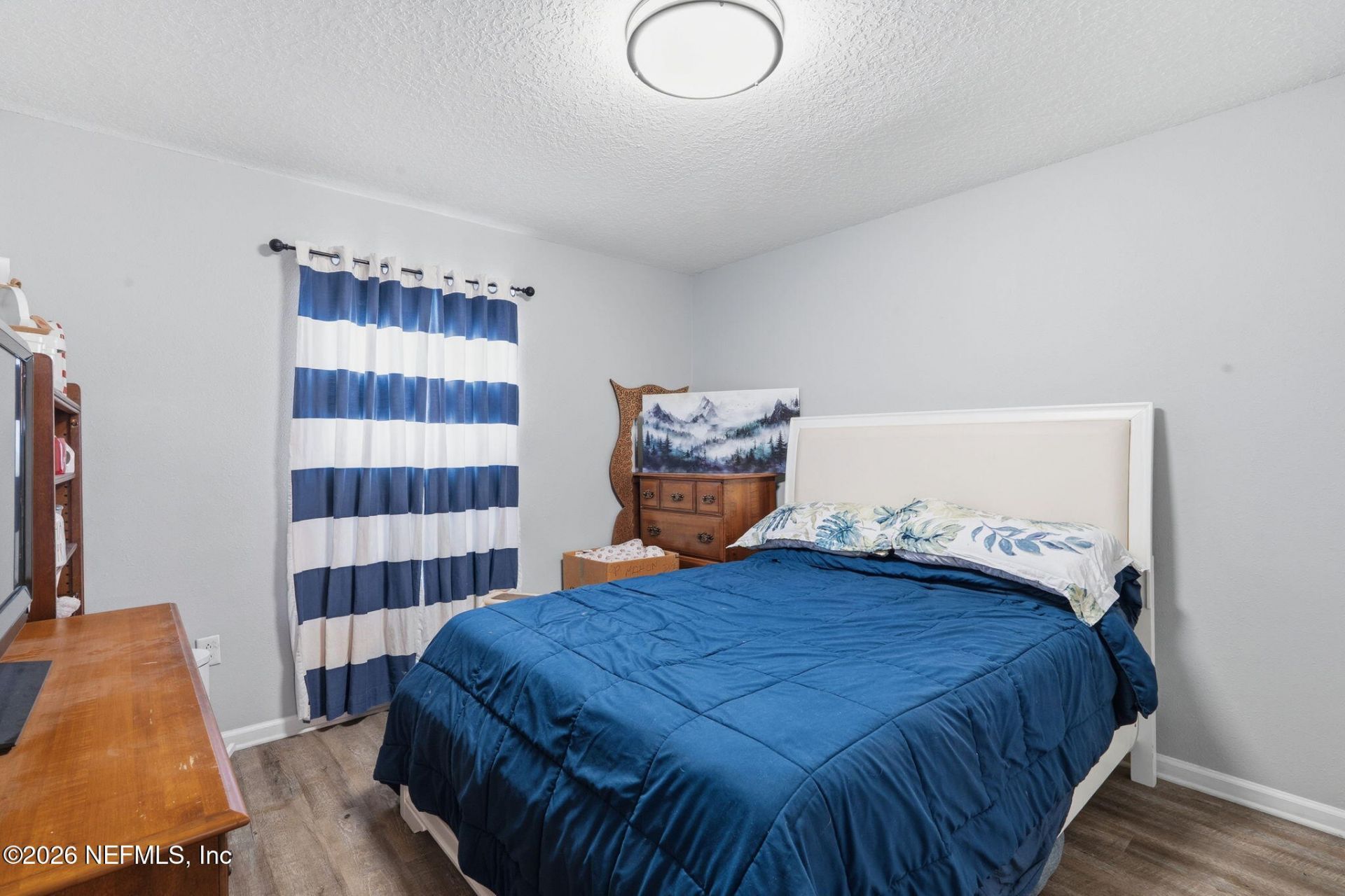 2393 Rusty Lakes Lane, Jacksonville, FL 32221 Photo