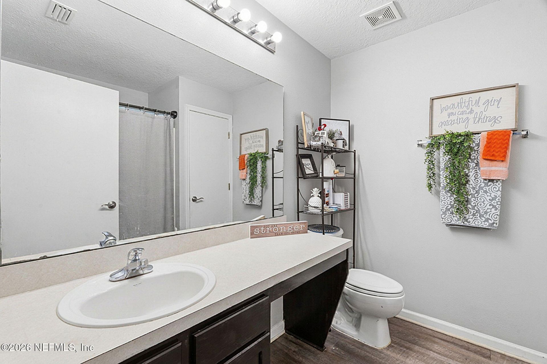 2393 Rusty Lakes Lane, Jacksonville, FL 32221 Photo