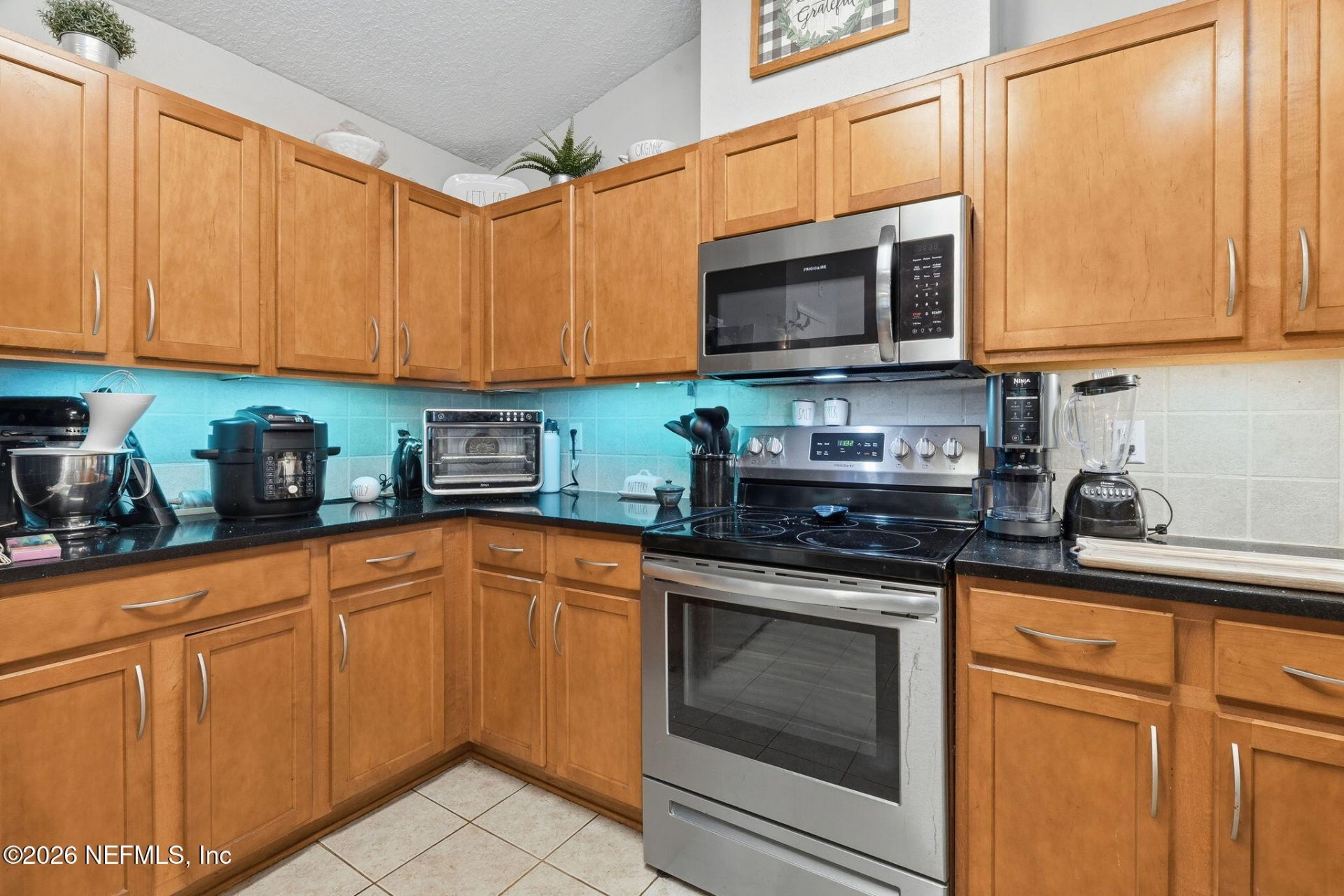2393 Rusty Lakes Lane, Jacksonville, FL 32221 Photo