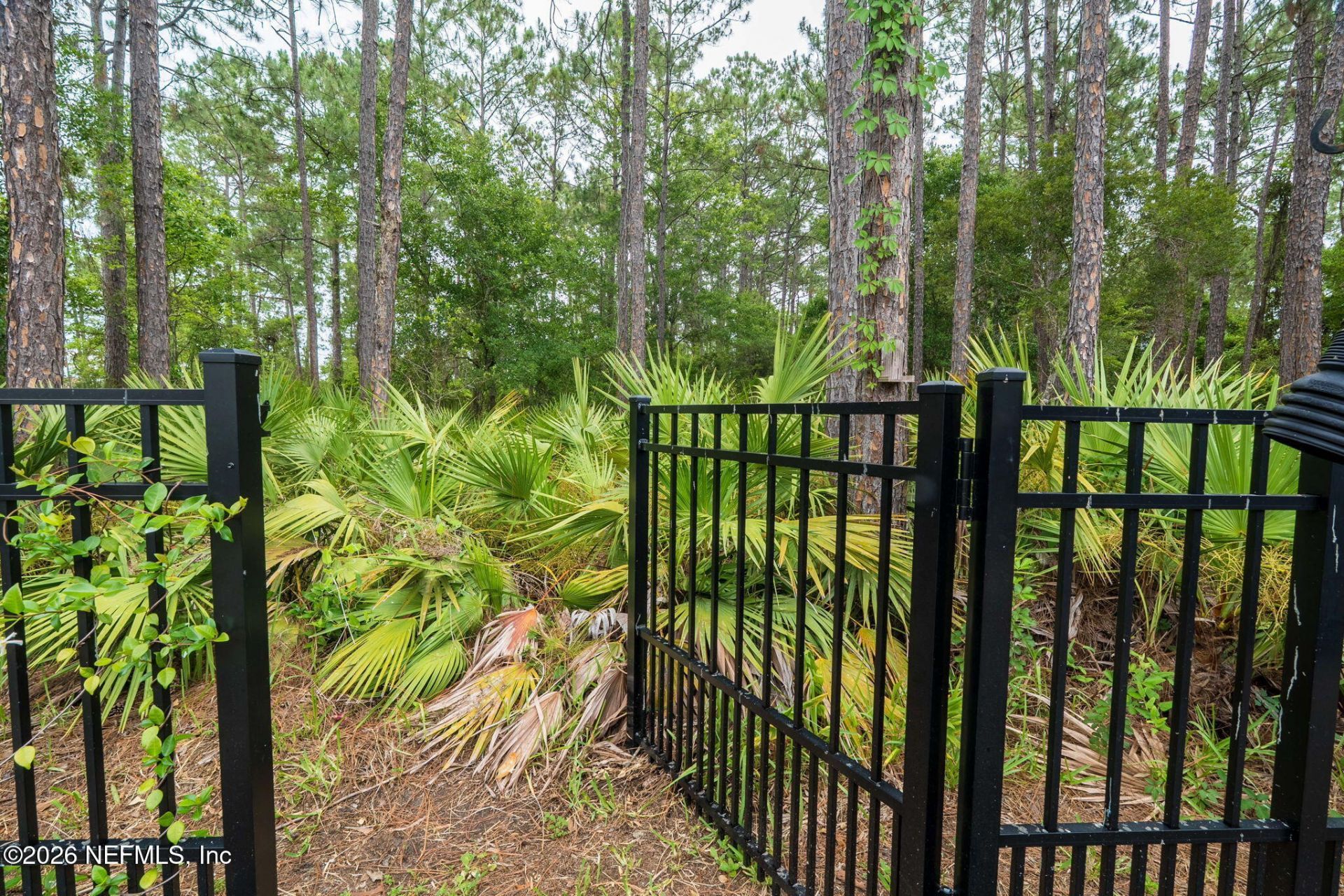 2393 Rusty Lakes Lane, Jacksonville, FL 32221 Photo