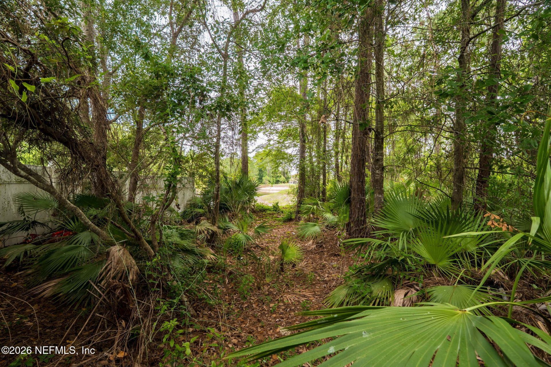 2393 Rusty Lakes Lane, Jacksonville, FL 32221 Photo