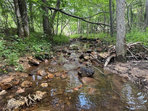 Tract 3 Hidden Valley , Annapolis, MO 63628