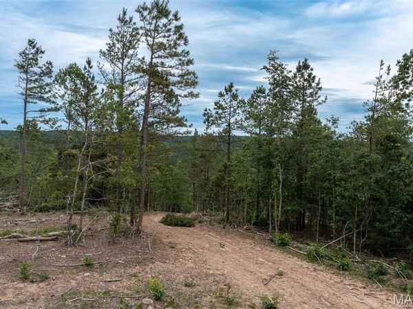 Tract 4 Hidden Valley , Annapolis, MO 63628