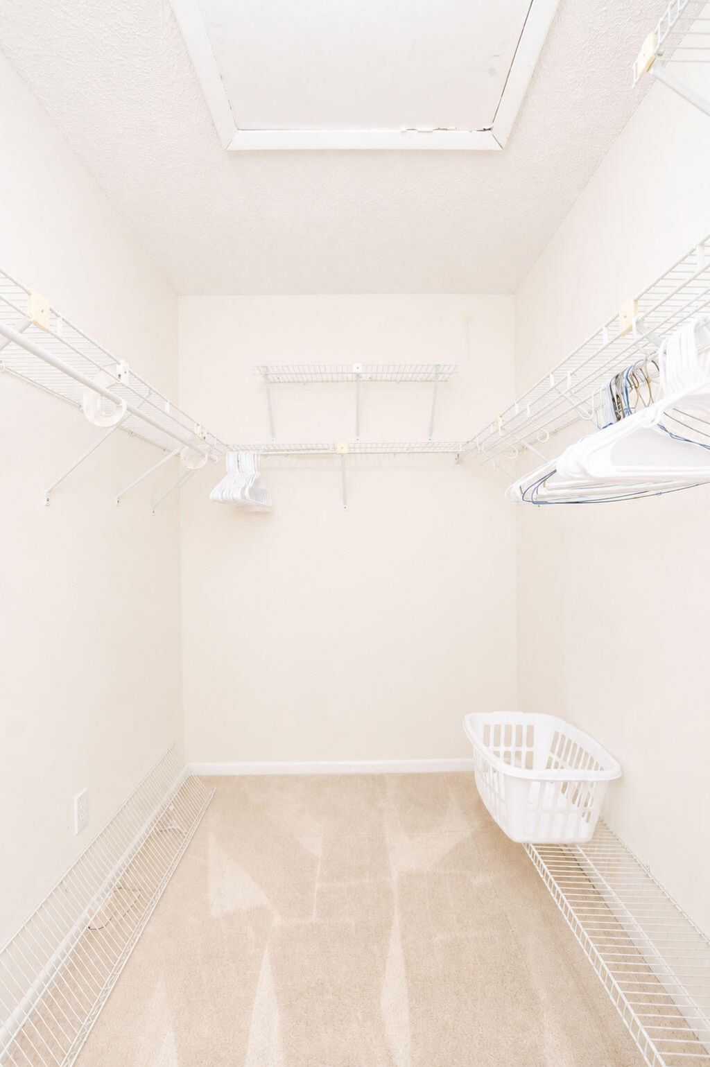 9310 SW 23rd Street, Unit 4003, Davie, FL 33324 Photo