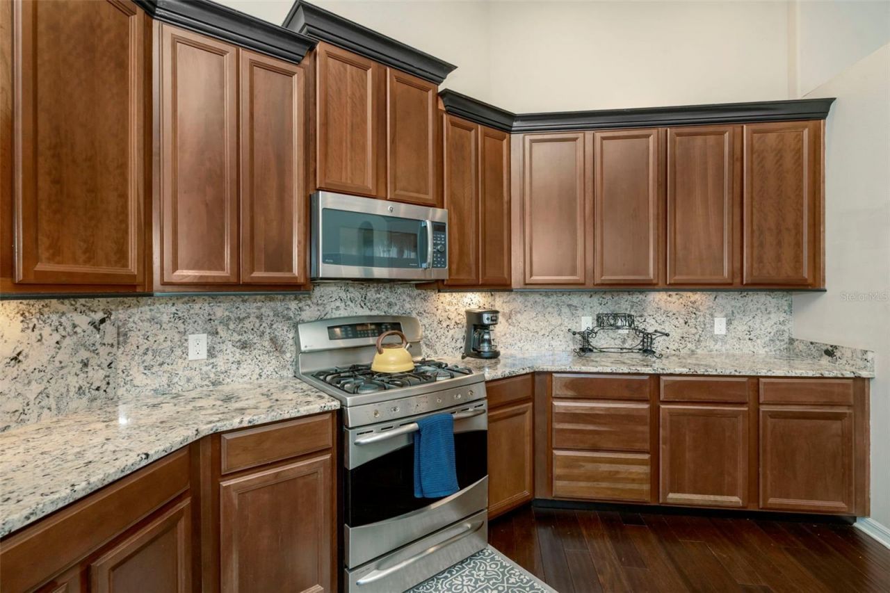 2307 Silver Trumpet Court , Valrico, FL 33594 Photo