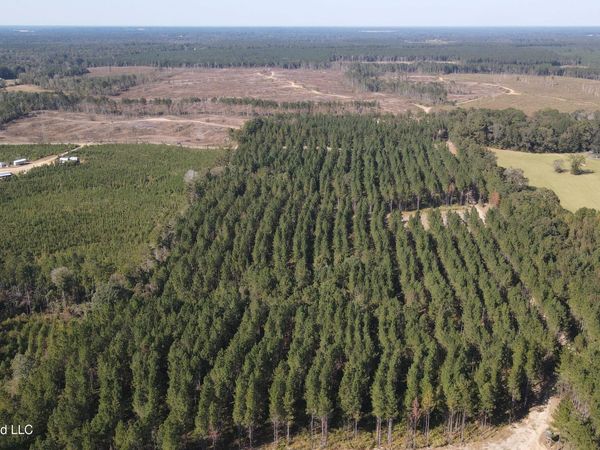 Loyd Irby Road, Pelahatchie, MS 39145