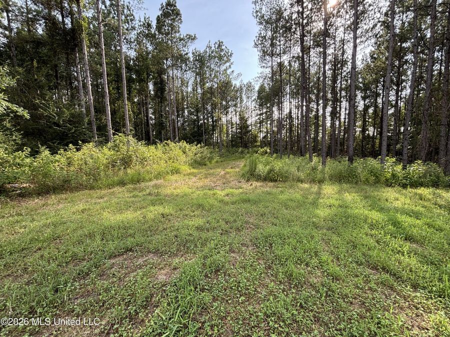 Property Image 37