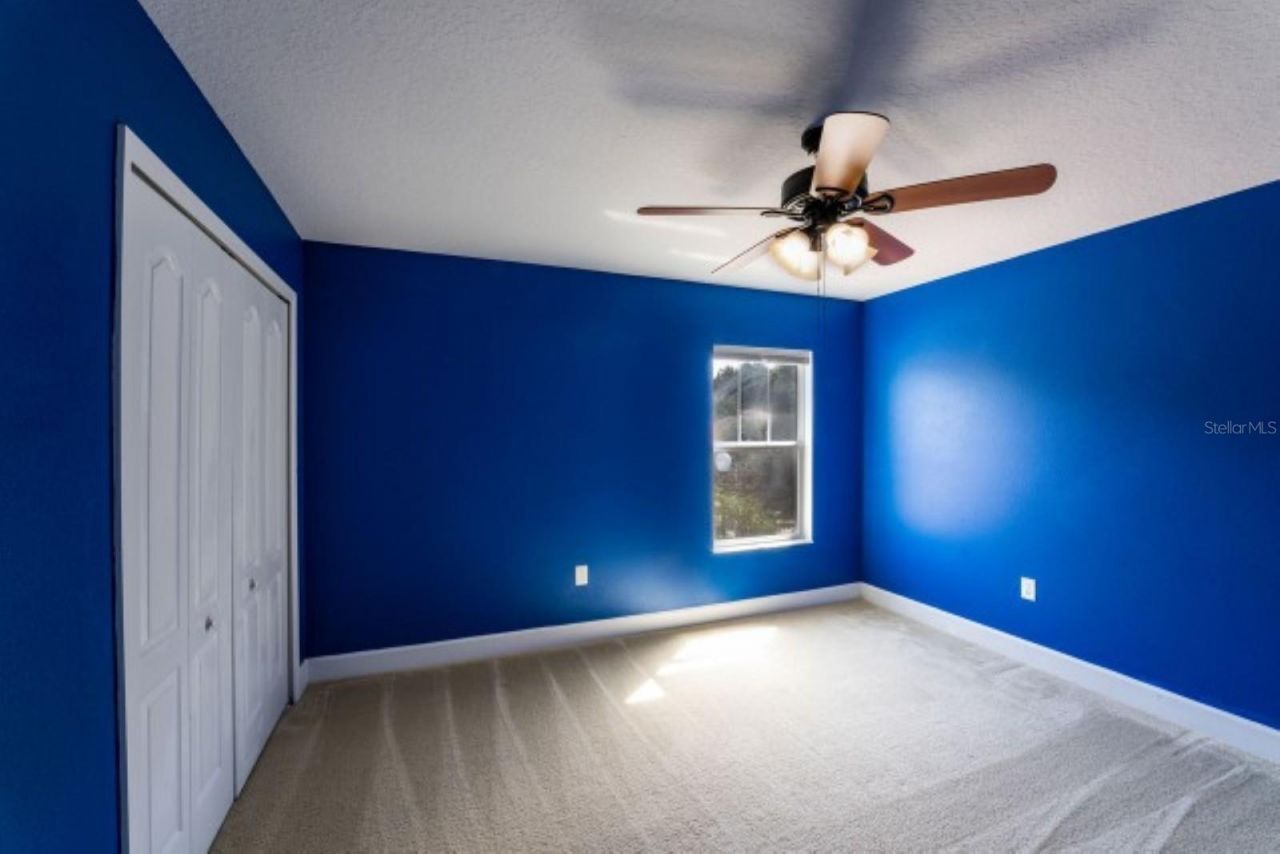 1038 Ketzal Drive, Trinity, FL 34655 Photo