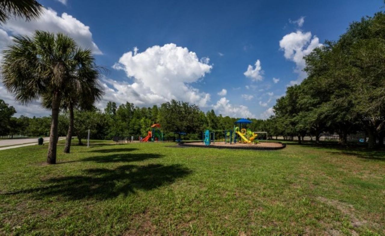 1038 Ketzal Drive, Trinity, FL 34655 Photo