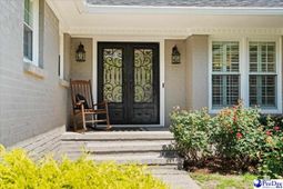1407 Palmetto Dr photo 4