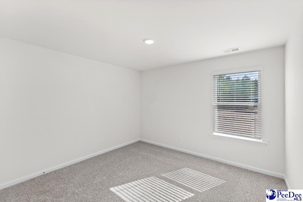 1185 Summer Duck Loop Photo 16