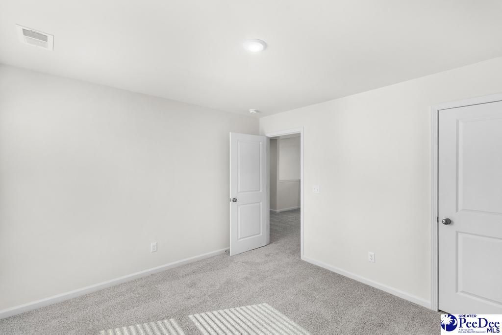 1185 Summer Duck Loop Photo 17