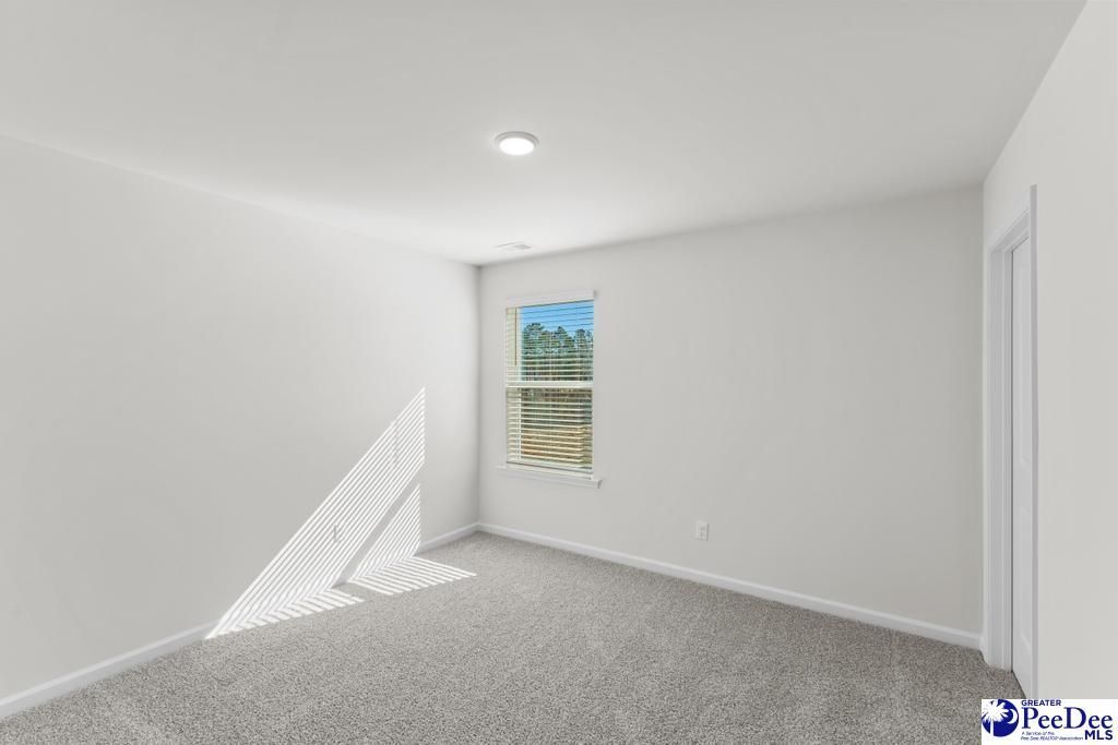 1185 Summer Duck Loop Photo 18