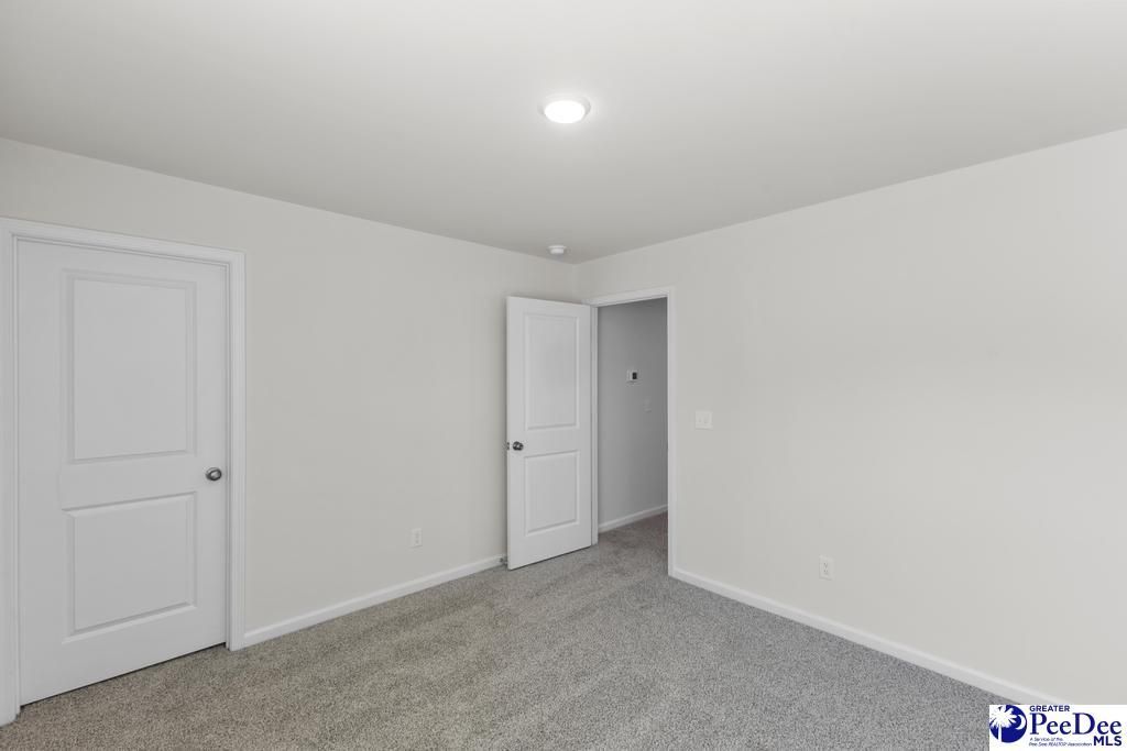 1185 Summer Duck Loop Photo 19