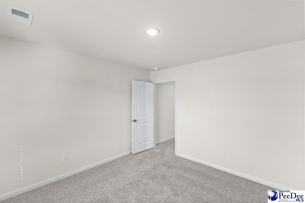 1185 Summer Duck Loop Photo 21